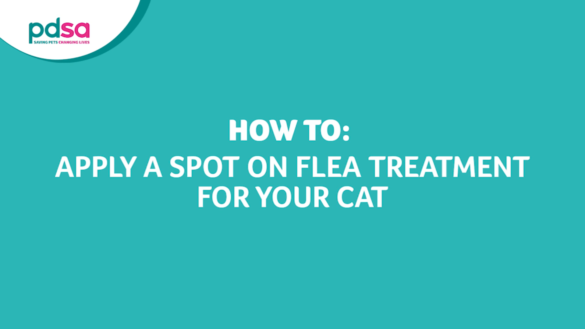 PDSA Guide for Cats